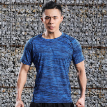 Outdoor Couple quick-drying T-shirt mens summer sports short-sleeved womens ice silk running sweat-absorbing breathable fitness shirt