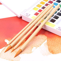 Japan cherry blossom face pen Nylon brush brush Comic hand-drawn hook line pen Watercolor gouache round head color pen Detail hook line pen professional set Art students special acrylic brush pigment pen