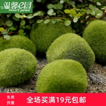 Simulation Moss stone flocking stone fake stone moss lawn micro landscape ornaments decoration accessories