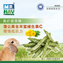 Mr. Grass mention Moshe grass sticks with crunchy gritty grassy grassy rabbit dragon cat snacks Dutch pig rabbit grinders