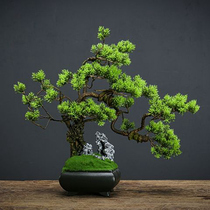 New Chinese Family Living Room Modern Pendulum Pieces Furniture Greet Guests Songxuan Guan Home Soft Adornment Book House Zen