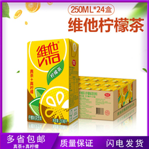 Vita Vita Milk Vita Lemon Tea 250ml*24 boxes Lemon Tea drink Real Tea Real Lemon