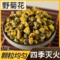 Xun Baicao Chinese herbal medicine Wild chrysanthemum dried Sichuan Aba Plateau Wild Chrysanthemum medicinal premium Wild Chrysanthemum tea 100g