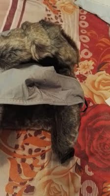 此用户没有填写评价。