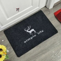 Toilet carpet door pad absorbent toilet quick-drying Nordic door outer door pad bathroom non-slip