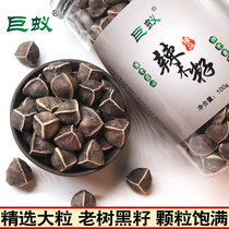 Moringa seed non-Indian imported super moringa seed wild edible Yunnan Moringa seed wild edible Yunnan Moringa flagship store