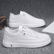 Summer 2021 new high-top mens shoes Korean version of the trend net red casual white shoes board shoes wild tide shoes canvas white