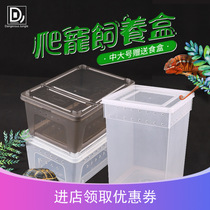 Reptile creeper feeding box Gougong Lizard Scorpion Spider Horned Frog Beetle Insect Hermit Crab Tortoise Tank Tank