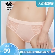 Wacoal Cotton sexy lace Comfortable low waist briefs panties WP3589