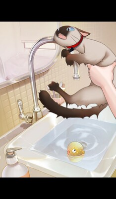 还可以吧,不知道是不是真丝的,薄厚还可以没感觉太薄 还可以吧,不知道是不是真丝的,薄厚还可以没感觉太薄