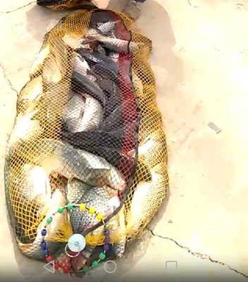 评测点评杰诺鱼竿质量怎么样，这个牌子好不好？是不是也是杂牌货