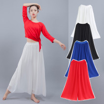 New dance pants female adult loose wide-leg pants Chiffon classical dance pants body practice pants modern dance clothing