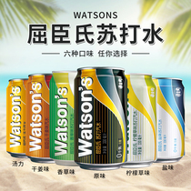 Küchens soda original flavor vanilla dried ginger lemon soup force Mogito 330ml × 24 canned to listen to the whole box