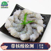 Hengsheng Qingshrimp Renang Shrimp Meat Ice Fresh South American White Shrimp Frozen Mega Green Shrimp Rinjiang and Zhejiang