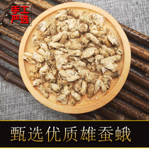 Nourishing pure male silkworm moth Male with late moth unmated male silkworm moth can soak wine Original silkworm moth 250g Chinese medicine shop