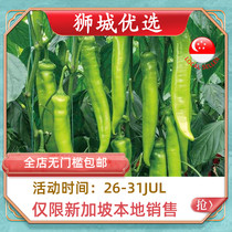 (Vegetable)Lamb horn pepper 1kg Singapore local delivery