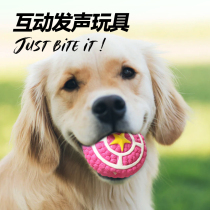 Dog Toy Bite-Resistant Vocal Balls Puppies Self-Hi-Stuffers Puppies Grinders Interact Small Dog Pet Supplies