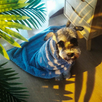 Pet dog cat blanket quilt mat sleeping mat sleeping mat with autumn and winter thick warm mat resistant to bite cotton mat