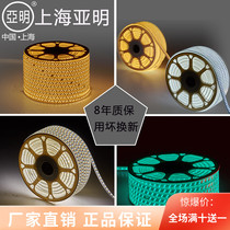 LED light strip 220v outdoor waterproof light strip Home improvement warm light white light strip ceiling three-color dimming neon light