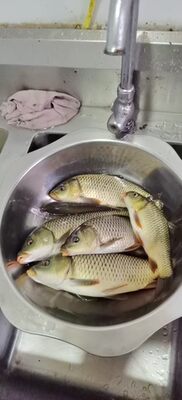 竿子很轻,很顺手,特别喜欢!发货特别快!四斤多,鲤鱼轻松上岸,不到两分钟 竿子很轻,很顺手,特别喜欢!发货特别快!四斤多,鲤鱼轻松上岸,不到两分钟