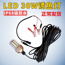 30W12V Water Light LED fish lure light outdoor night fishing silver fish squid carp squid copy fish strong light underwater light
