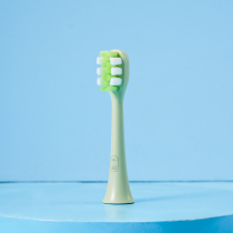 Qianshan Portable Cactus Electric Toothbrush Original DuPont Brush White Feu Multiple options