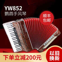 PARROT MINI accordion MINI 60 bass 120 bass Adult professional examination Beginner playing musical instrument