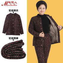 Middle Aged Camel Cotton Clot Cotton Padded Jacket With Cotton Padded Jacket Thickened Large Code Warm Grandmother Cotton Sweater Cotton Pants Suit New