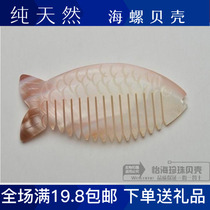 Natural shell conch massage health anti-static scraping board Shell Comb female birthday gift special