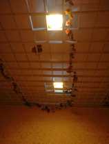 Spotlights Indoor lights Reading lights Lamps Lamps Bulbs Energy-saving lamps White light color change color change film Warm light stickers