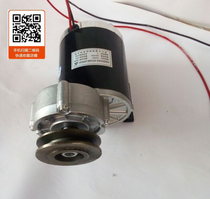 Unette permanent magnet DC brushed geared motor MY1020Z-450W 600W pulley motor