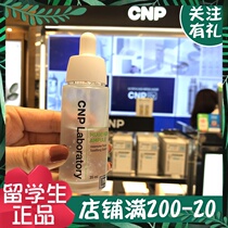 Korea Xienpai CNP Propolis essence Moisturizing elastic moisturizing bottle essence Moisturizing moisturizing to improve dull 15ml