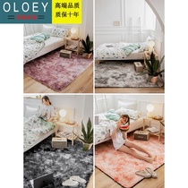 Light luxury products ins net red plush carpet Bedroom full bunk room bedside blanket Nordic living room coffee table mat can be set