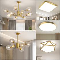 Nordic living room lighting package Modern simple atmosphere lighting Creative bedroom style molecular light Magic bean chandelier