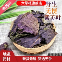 Six shopkeeper perilla leaves dry sessile whole leaves 250g farmhouse cotyledon dry tea to remove fishy spices