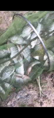 用了段时间手感不错。久抛不累。就是遛鱼急不得 用了段时间手感不错。久抛不累。就是遛鱼急不得