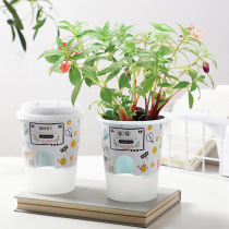Childrens canned flower mini potted indoor plant seed germination observation kindergarten DIY self-planting gift