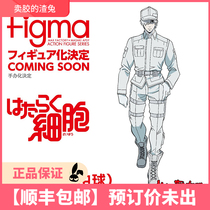 Slag Rabbit First MF figma Leucocyte Working Cell Hand-run Pre-sale