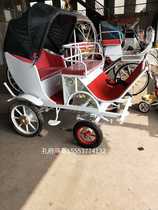 Pony horse carriage pony four carriage animal mini carriage sightseeing tour