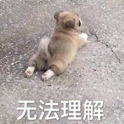 嗯嗯不错好看的擦擦擦啊啊啊啊很喜欢 嗯嗯不错好看的擦擦擦啊啊啊啊很喜欢