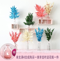 Eternal flower bouquet Alpine Fern tooth leaf eternal flower arrangement flower material flower arrangement dried flower bouquet living room home furnishings