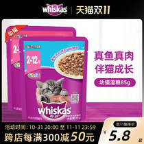 Weijia young cat wonderful pack young cat wet food pack cat snack cat canned cat food Vega bunnie food 85g