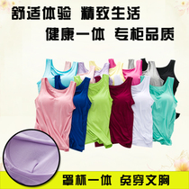 Cotton Vest Womens belt chest cushion bra Sling Student girl elderly bra free bra plus size sports yoga base