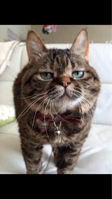 东西真的不错，性感