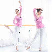 Dance practice suit womens mesh womens adult top Body classical modern national dance stage performance training clothing