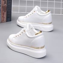 Hong Kong boomer 2022 spring new genuine leather small white shoes female inner heightening comfort 100 lap thick bottom soft bottom pine pastry shoes