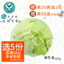 Fresh vegetable round lettuce West lettuce ball lettuce vegetable salad dish 500g crispy sweet pancake dish 5 multi-provincial