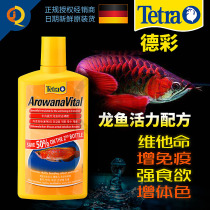 De Colourful Dragon Fish Vitality Formula Germany Imports Tetra Vitamin Nutrient Solution Golden Red Dragon Fish Iodine to Boost Immunity