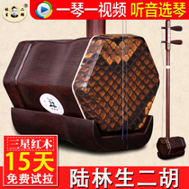 Lu Linsheng Erhu Lu Linsheng Samsung Mahogany Erhu National Musical Instrument Complete Accessories