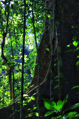 是一个好评模板，不要看了下面都是废话。因为本仙女很懒不想每个宝贝都写好评所以才模仿网友的好评模板，但是这个宝贝不管是质量还是款式都是本仙女喜欢的如果不喜欢本仙女收到会很生气然后这个模板就会变成各种喋喋不体的吐槽，自然不会撒下这个好评给各位淘友一个参考。本宝贝还是极好的，来自一位懒省事的只爱购物不爱写评论只想换积分的仙女